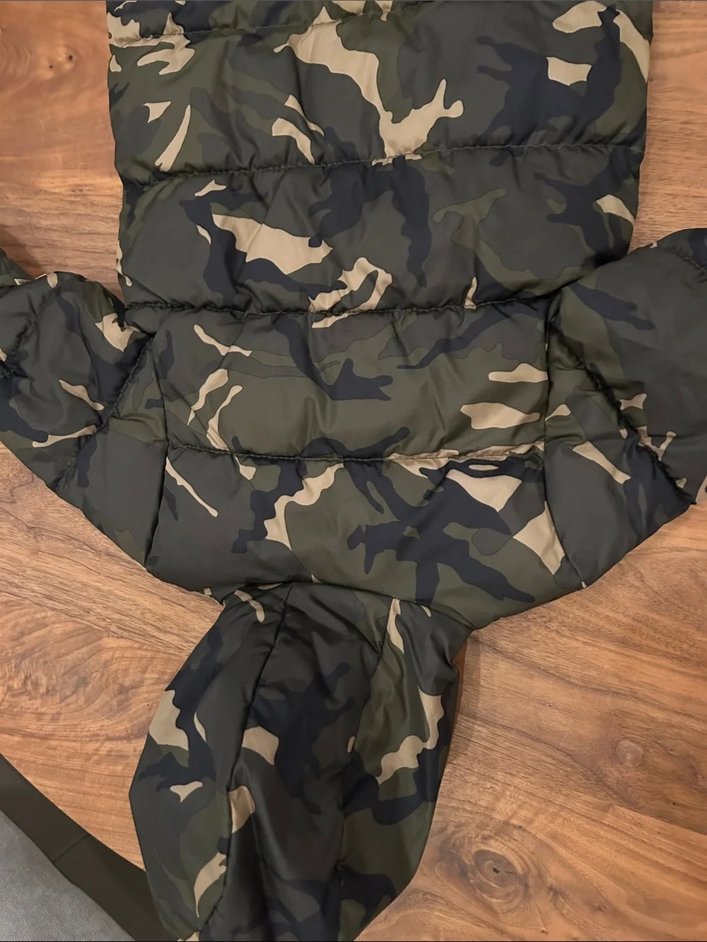 Old Navy insulated hooded
